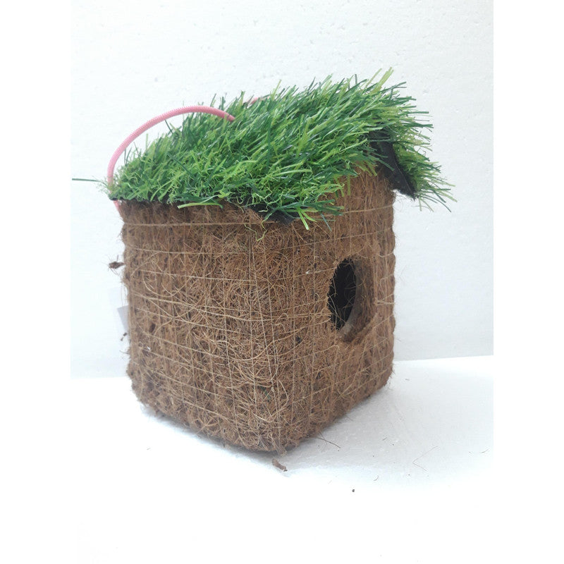 For Birds Lover Sparrow Nest House for Outdoor  (3625)