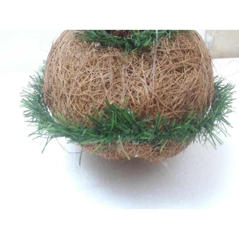 Bird Nest Cage for Balcony Garden Outdoor Hanging sparrow House (3628)